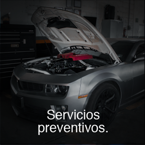 Servicio_mayor